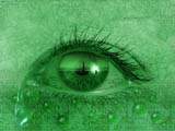 Увеличить eye2.jpg (167,9Kb)