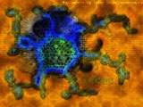 Увеличить virus1.jpg (178Kb)